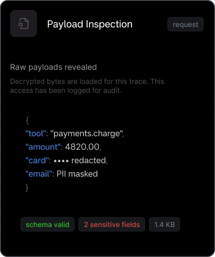 Payload Inspection
